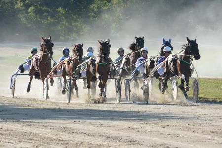 Kasaške dirke Ljutomer1